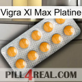 Vigra Xl Max Platinum levitra1